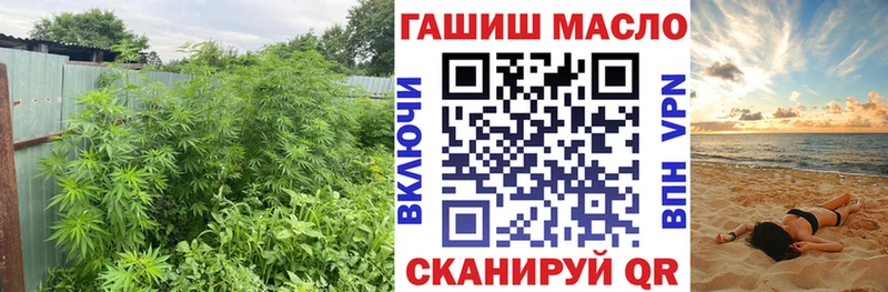 ТГК вейп Александровск