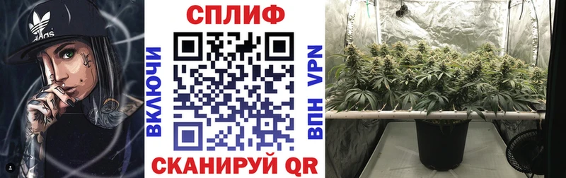 Купить  Александровск  Каннабис семена 